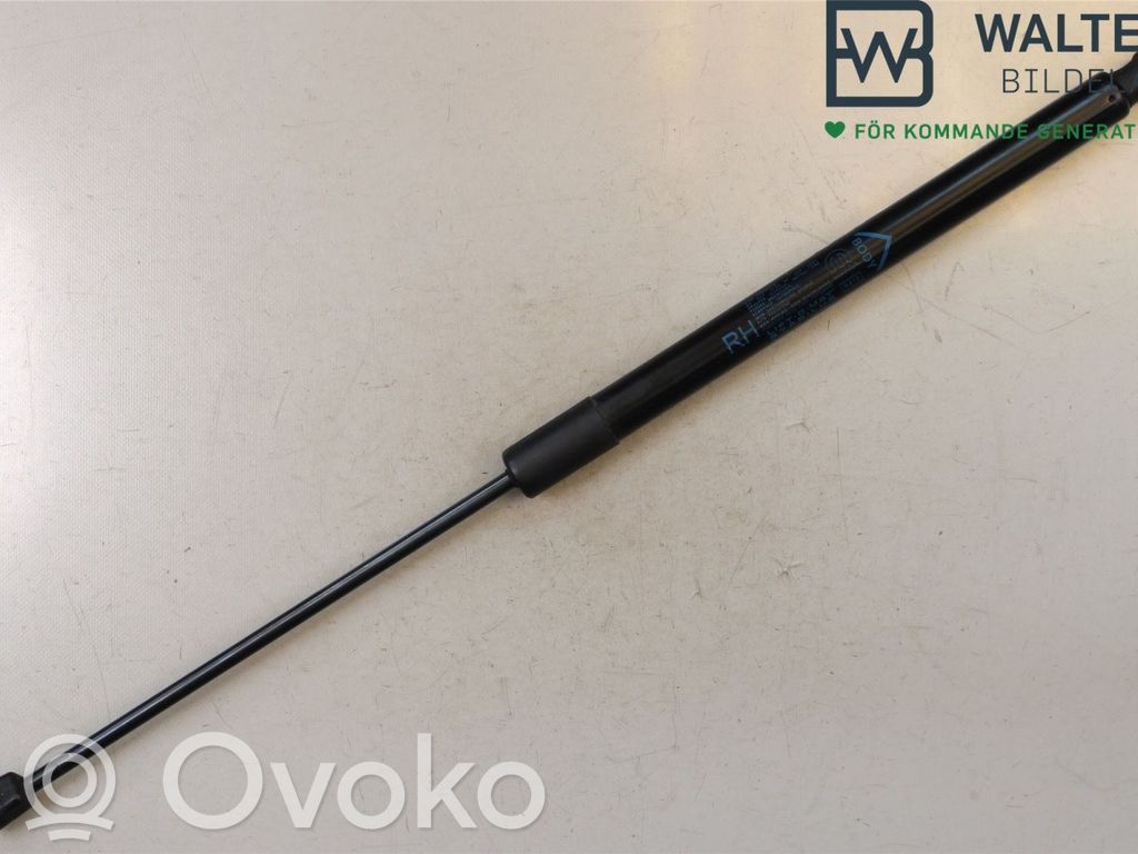 Fiat Tipo Tailgate strut 