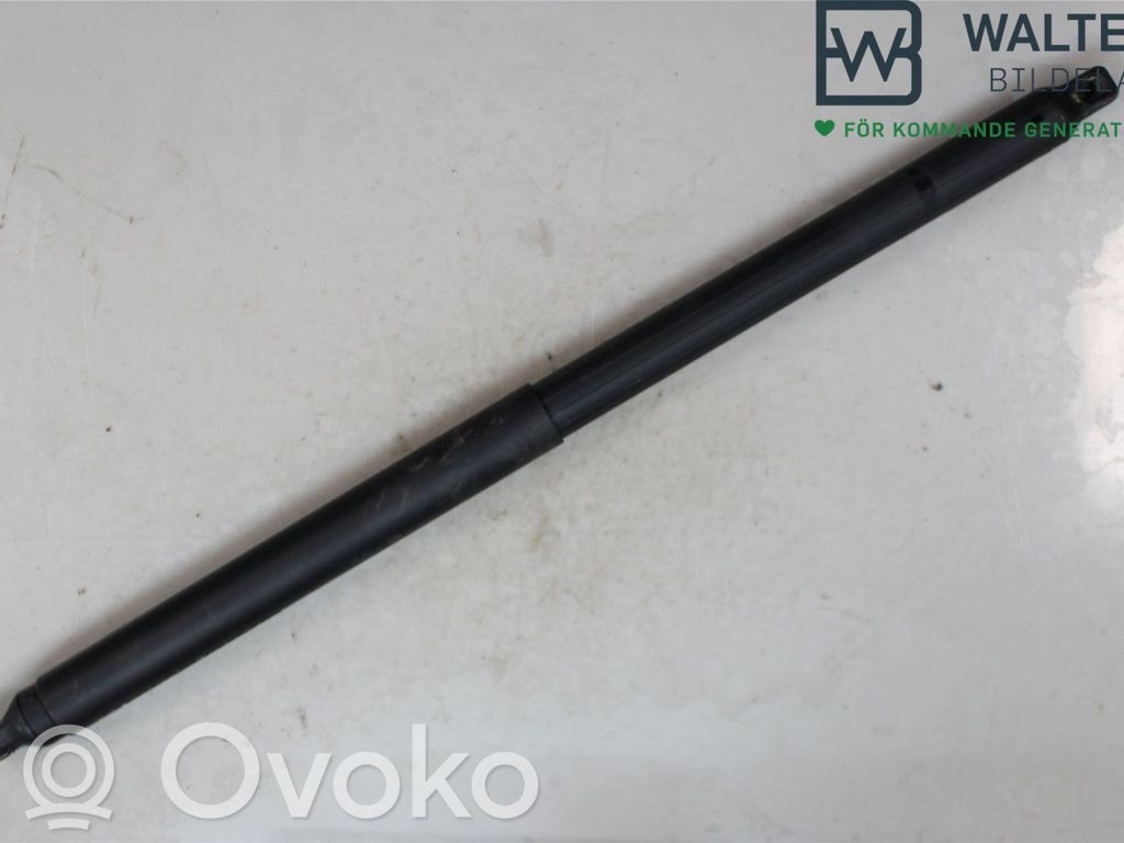Volkswagen Tiguan Heckklappenstrebe 