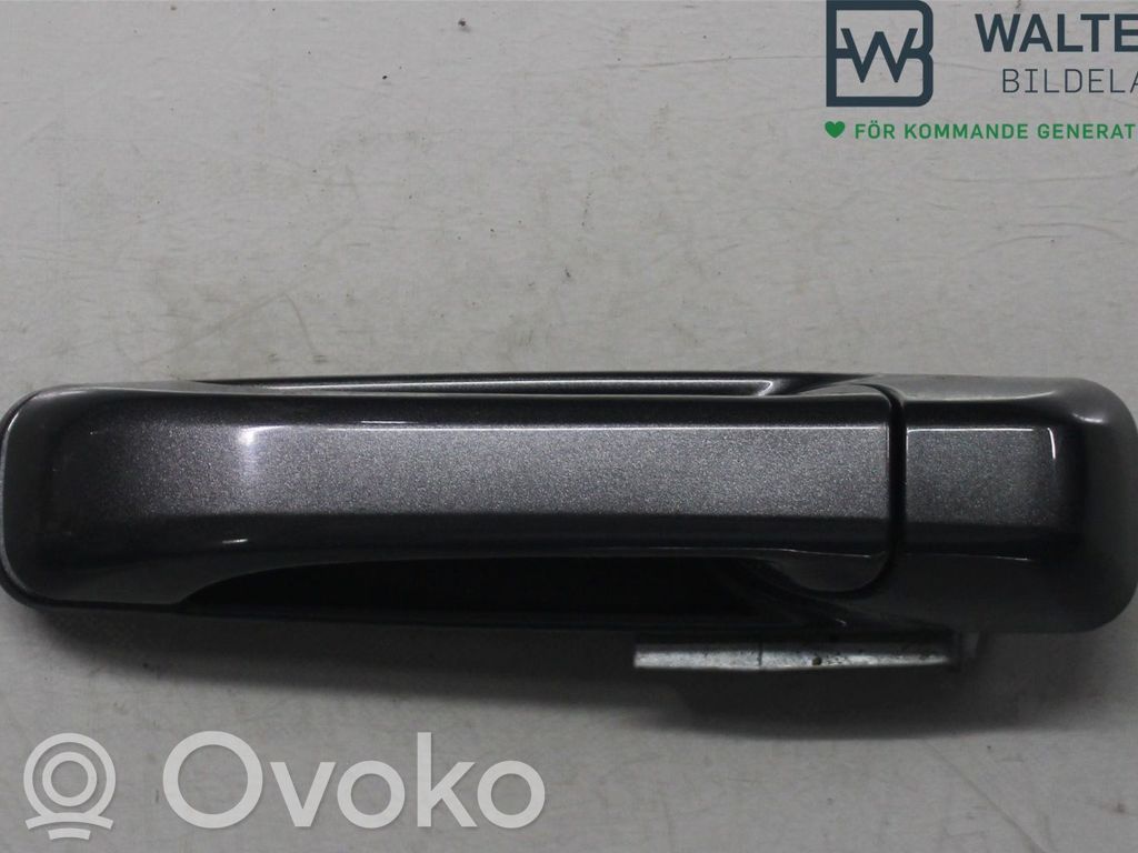 Manecilla externa puerta delantera   173140169922,173140169922