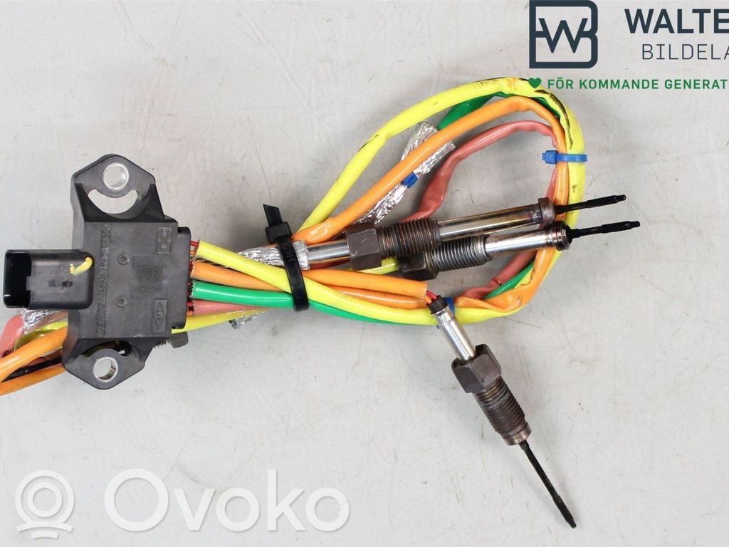 Renault Express Exhaust gas temperature sensor 