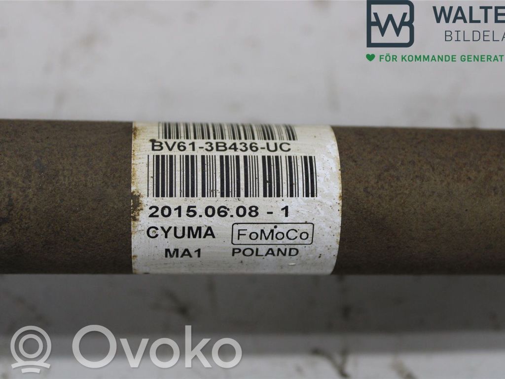 Ford Focus Front driveshaft 