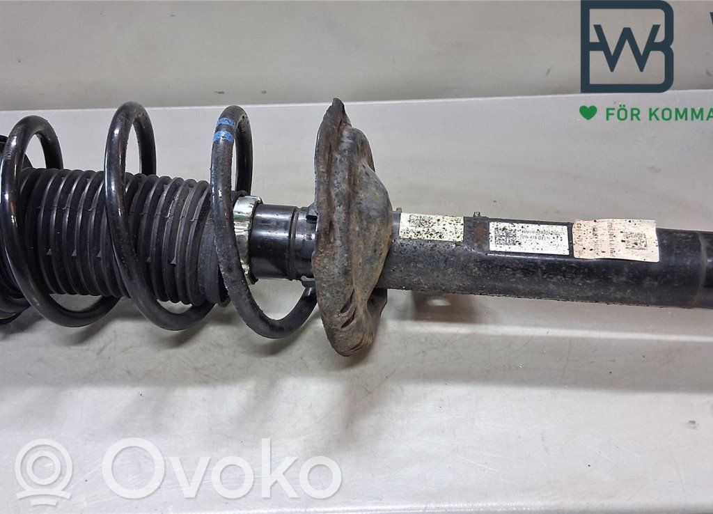 Volkswagen Golf VIII Amortyzator osi przedniej ze sprężyną 