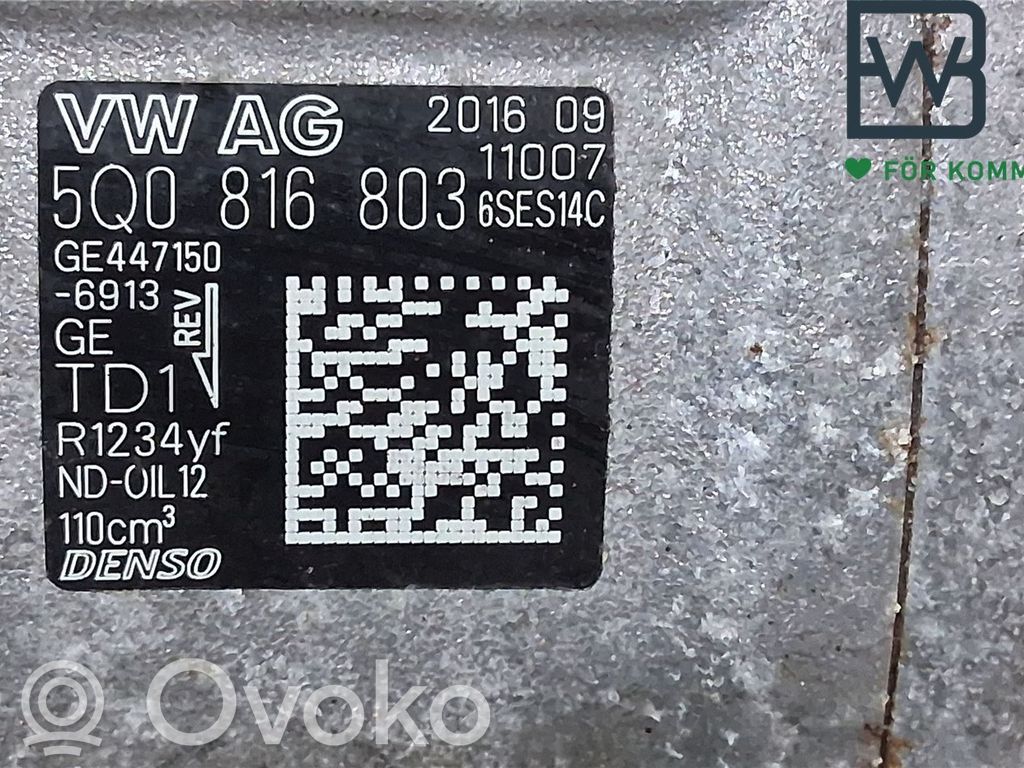 Volkswagen Tiguan Compressore aria condizionata (A/C) (pompa) 
