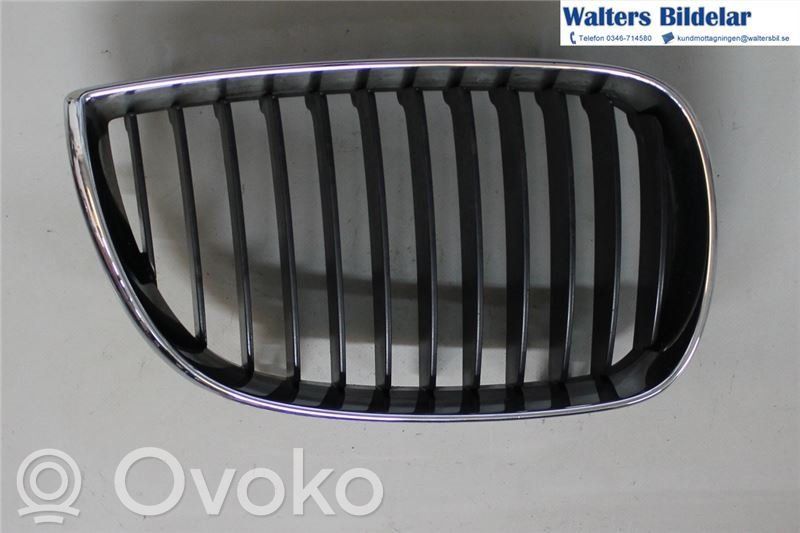 BMW 1 E81 E87 Front bumper lower grill 