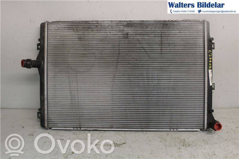 Volkswagen PASSAT B6 Radiatore di raffreddamento 