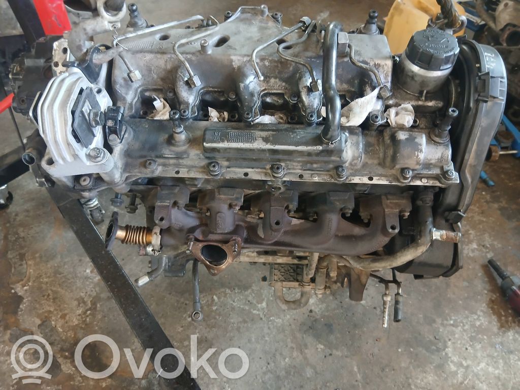 Variklis   D5244T,D5244T,285972