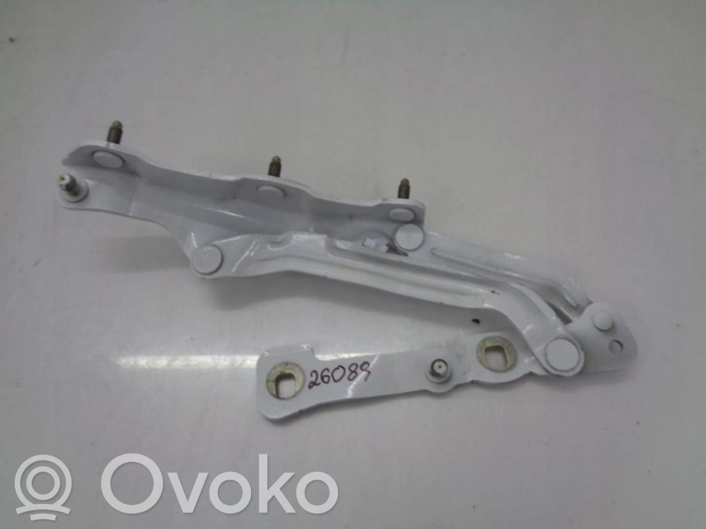 Tesla Model 3 Tailgate/trunk/boot hinge 