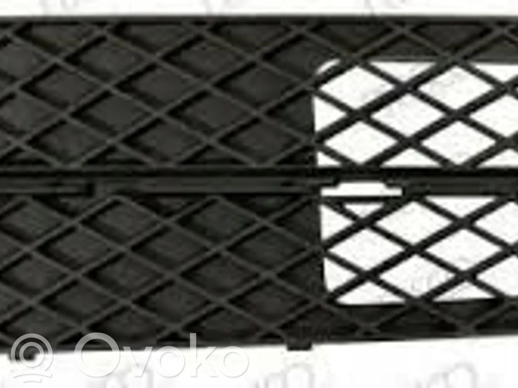 Front bumper lower grill   51117178109,7178109