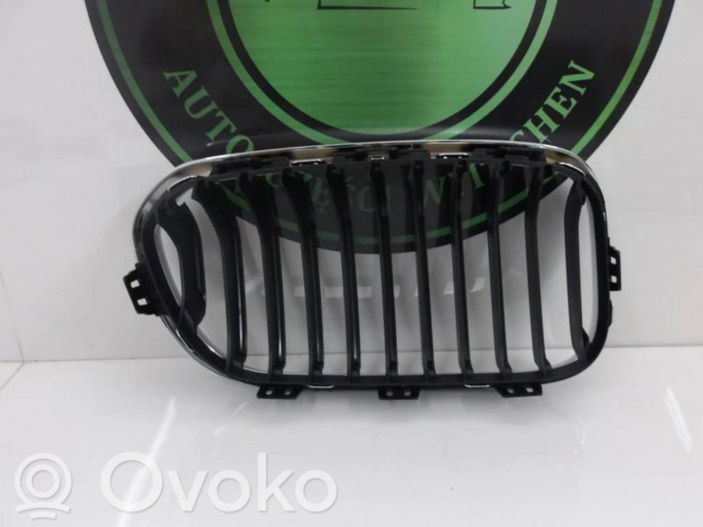 BMW 1 F20 F21 Bonnet/hood grill 