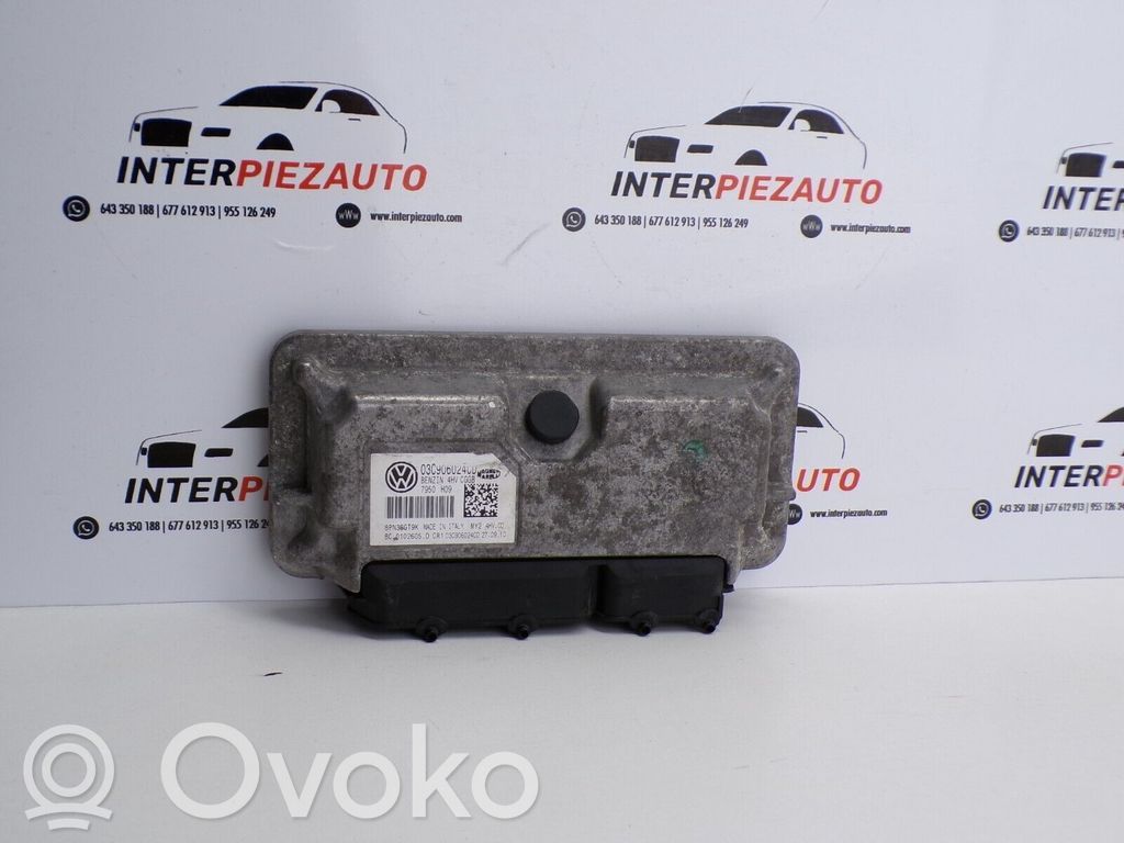 Engine control unit/module   03C906024CD,BC0102605D