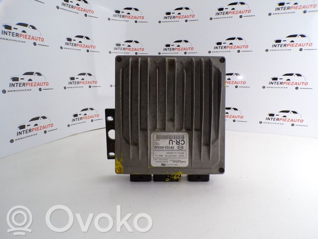 Engine control unit/module   391024X520,R0410C010E