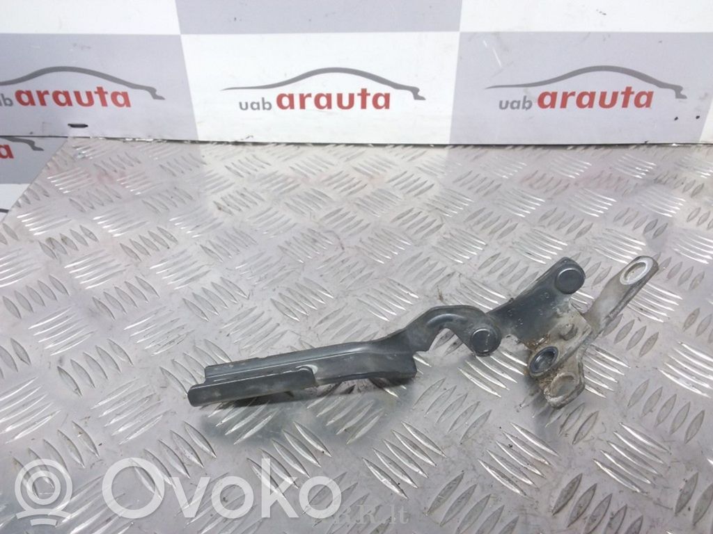 Citroen C5 Balamale capotă 