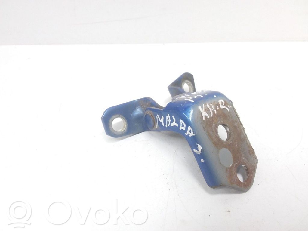 Front door upper hinge