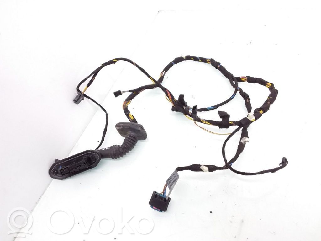 BMW X5 E53 Cableado de puerta trasera 