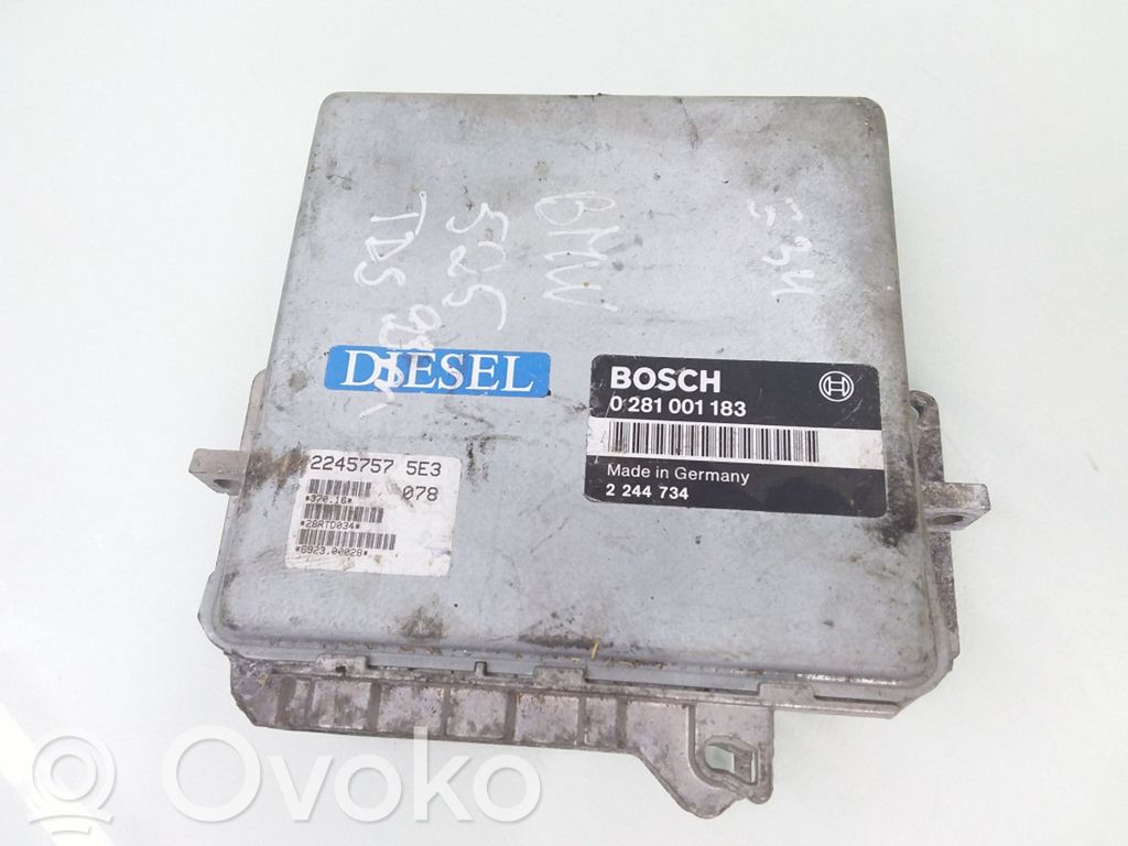 BMW 5 E34 Engine control unit/module 