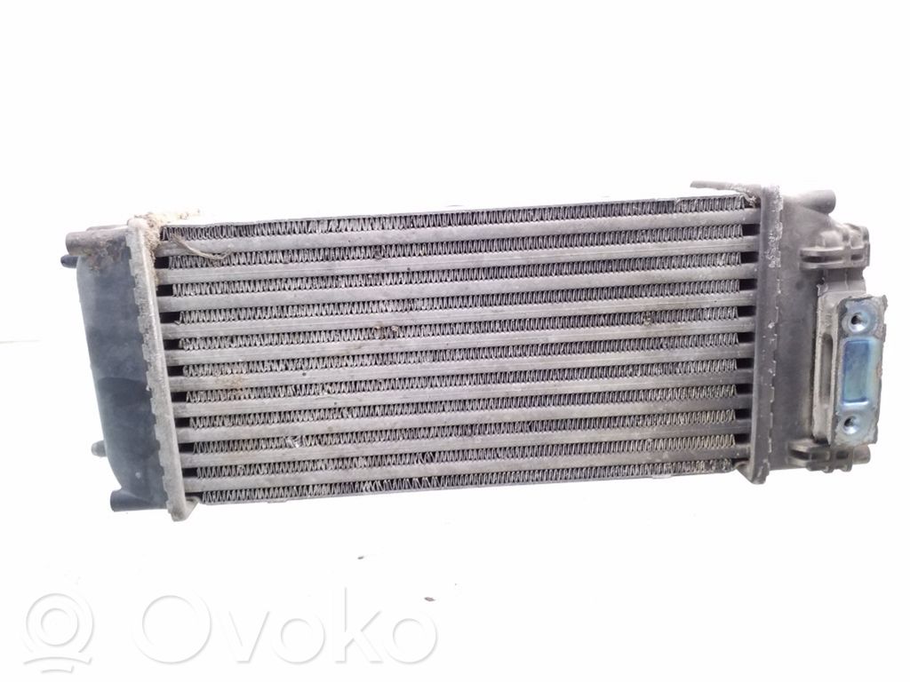 Peugeot 307 Intercooler radiator 