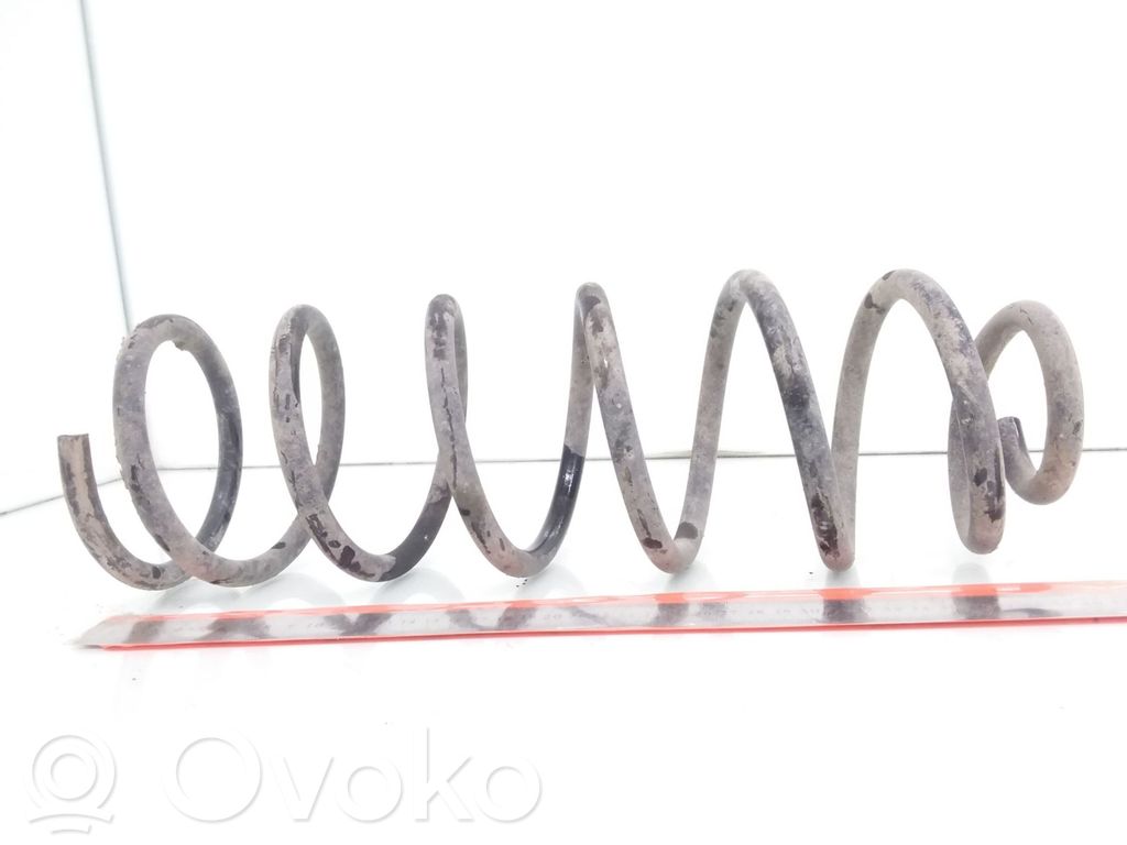 Rear coil spring
