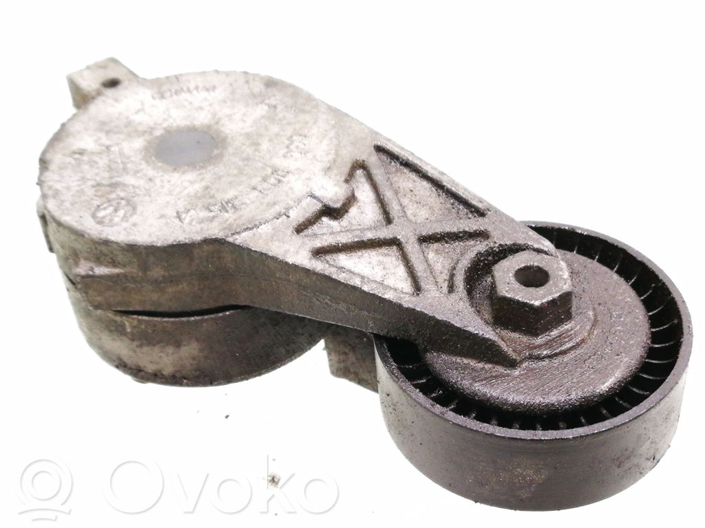 Skoda Octavia Mk2 (1Z) Întinzător curea alternator 