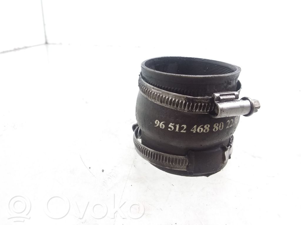 Citroen Berlingo Intercooler hose/pipe 