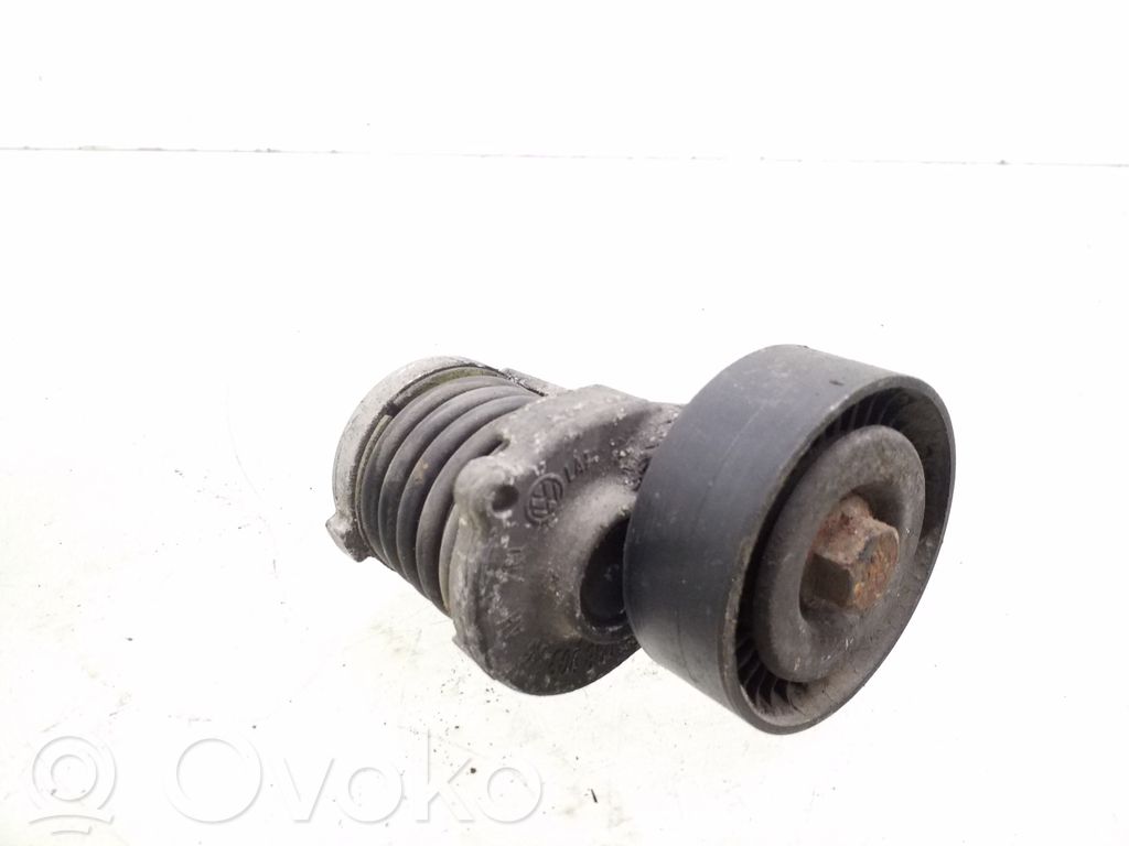 Audi A4 S4 B7 8E 8H Întinzător curea generator/alternator 