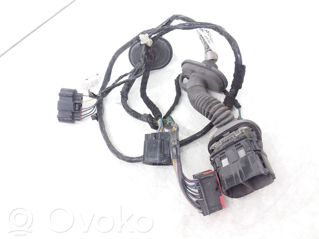 Cableado de puerta trasera   BV6T14240,BV6T14240RGB