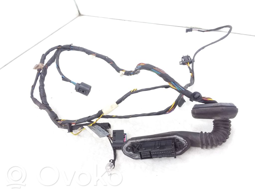 BMW X5 E53 Cableado de puerta trasera 