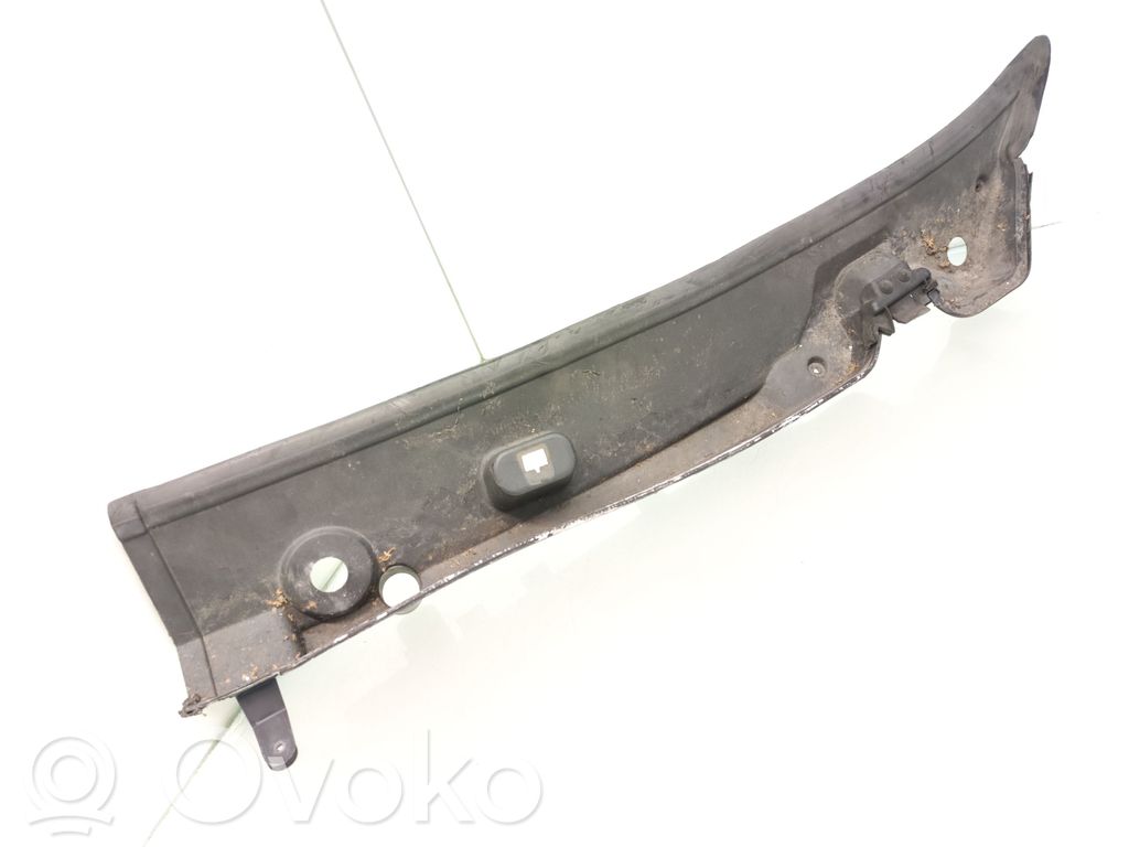 Peugeot Boxer Moldura del limpia 
