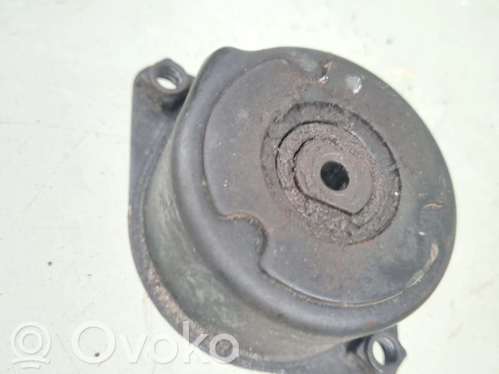 BMW 5 E39 Diržo įtempėjas 