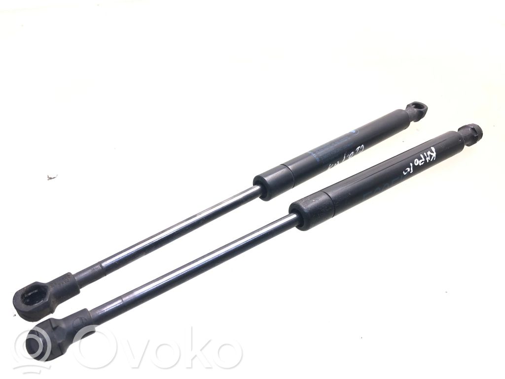 BMW 5 E60 E61 Ammortizzatore portellone anteriore/cofano 
