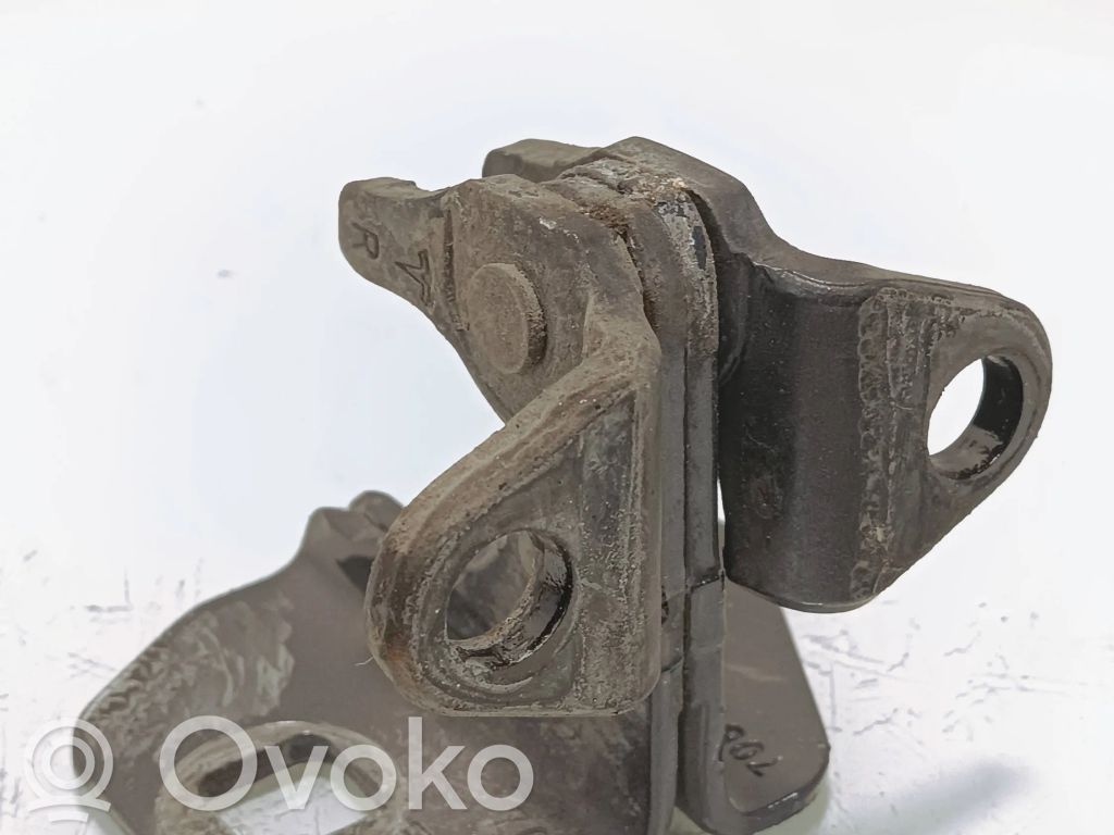Rear door lower hinge   0505D,95520