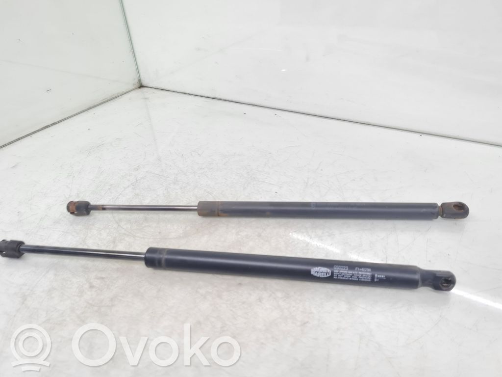 Ford Focus Amortizatorius galinio dangčio 