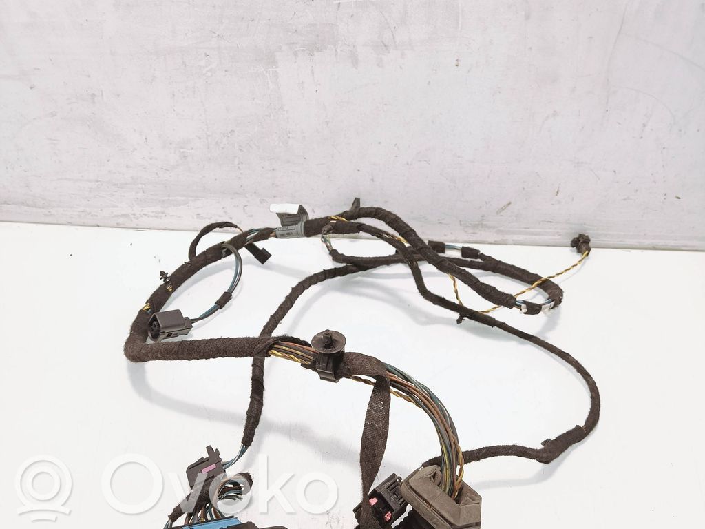 Cableado de puerta delantera   6913072,20064145,EX77R
