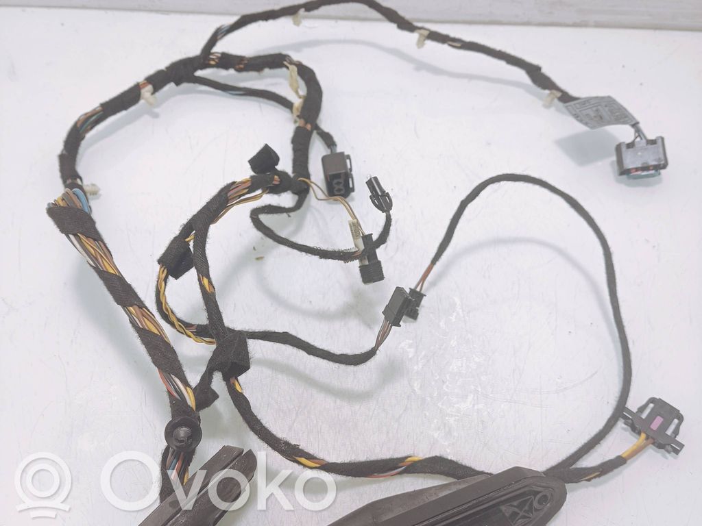BMW X5 E53 Cableado de puerta trasera 