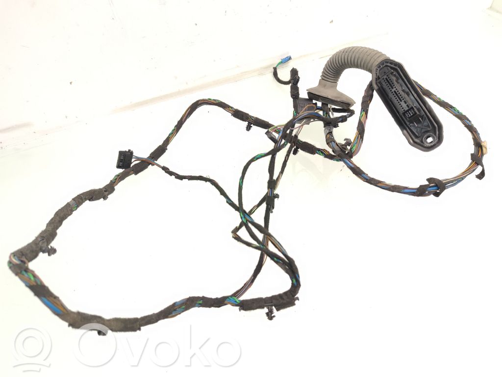 Cableado de puerta trasera   6970666