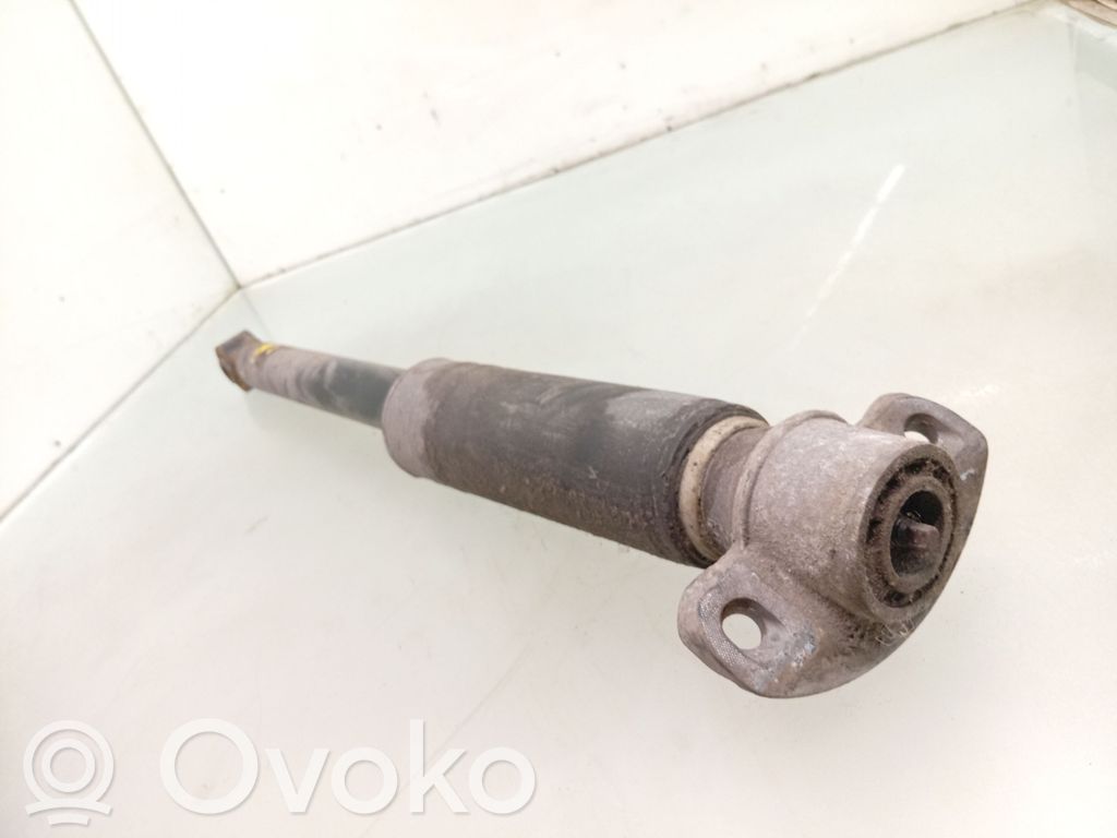 Stoßdämpfer hinten