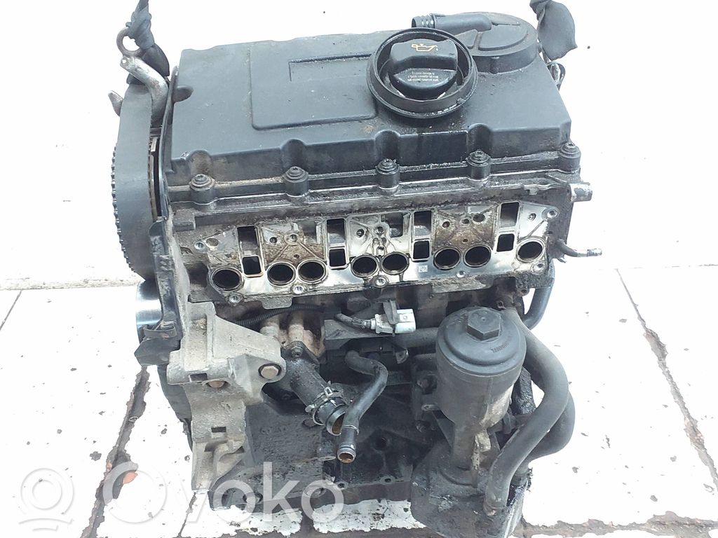 Skoda Octavia Mk2 (1Z) Motore 