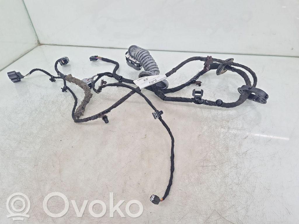 Ford Ecosport Etuoven johtosarja 