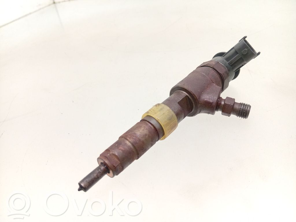 Ford Ecosport Iniettore