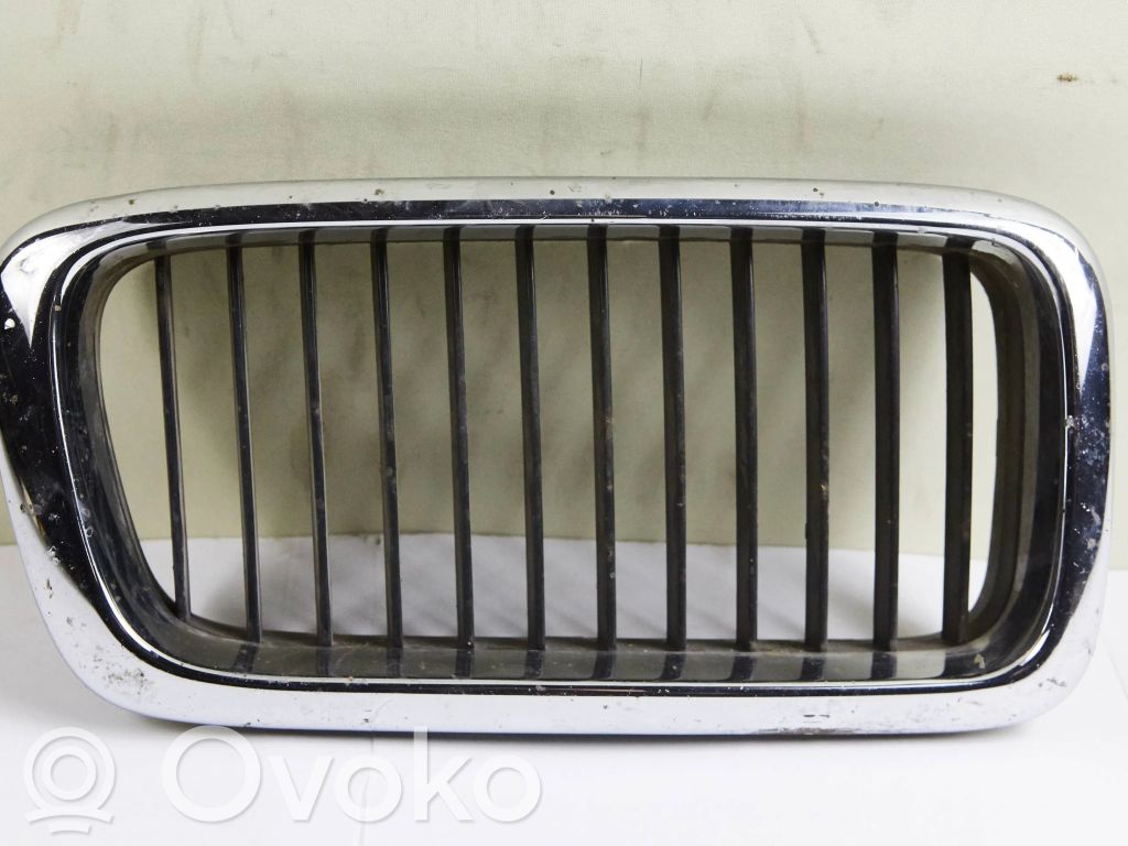 Front grill   51138125812