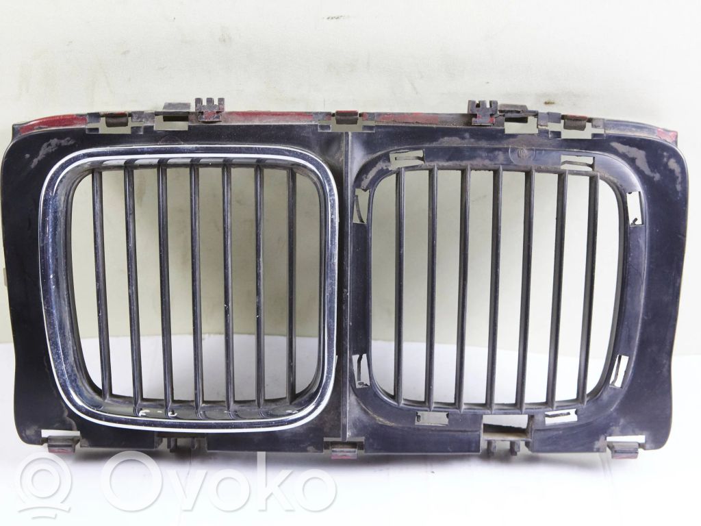 Front grill   51131973825,1973898