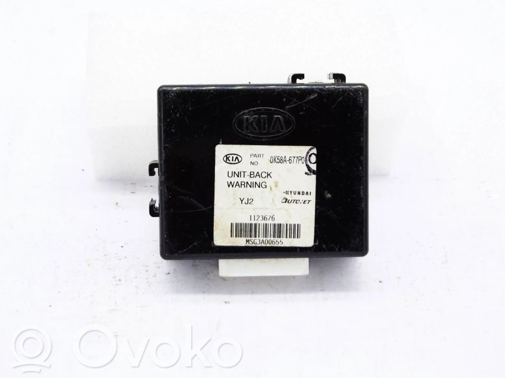 KIA Carnival Other control units/modules 