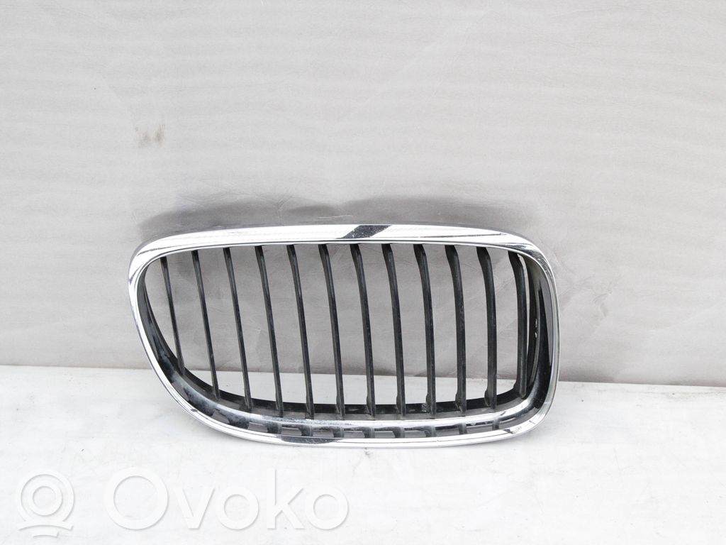 Kühlergrill   51137201968