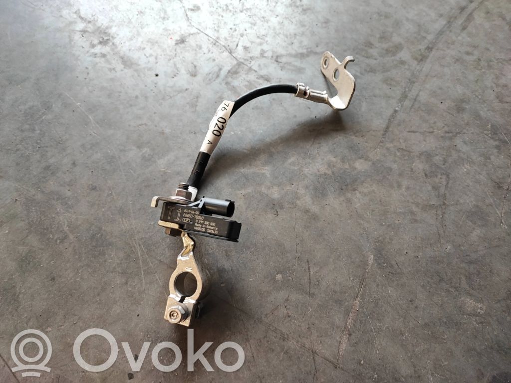Lexus UX Cable negativo de tierra (batería) 