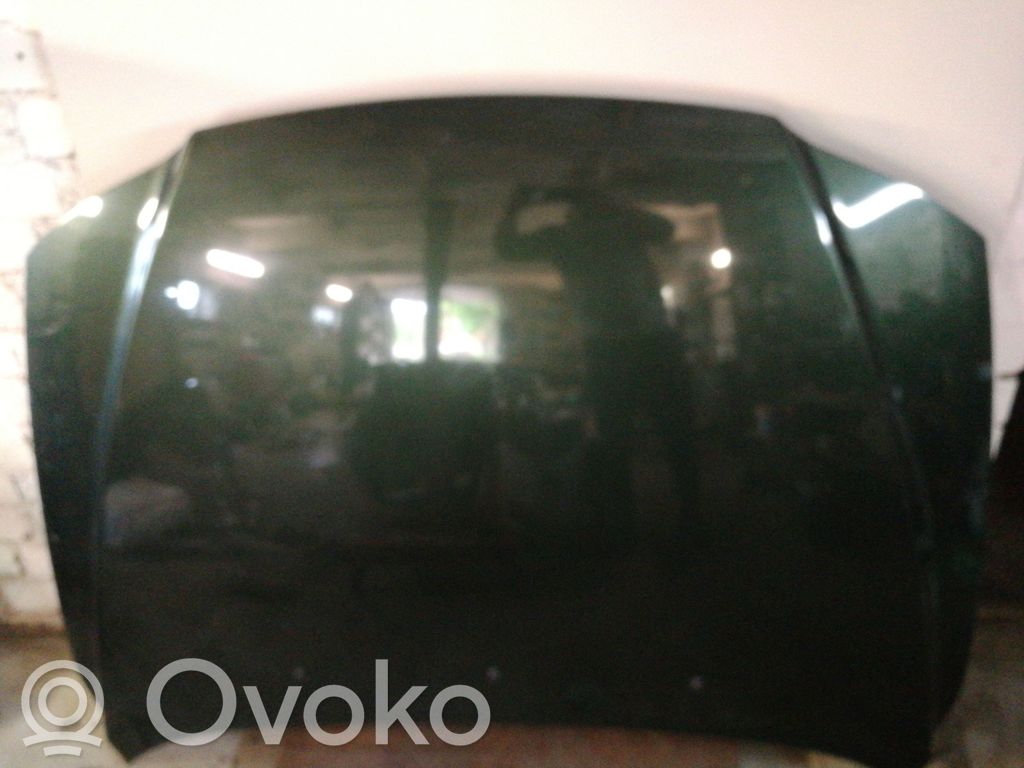 Engine bonnet/hood