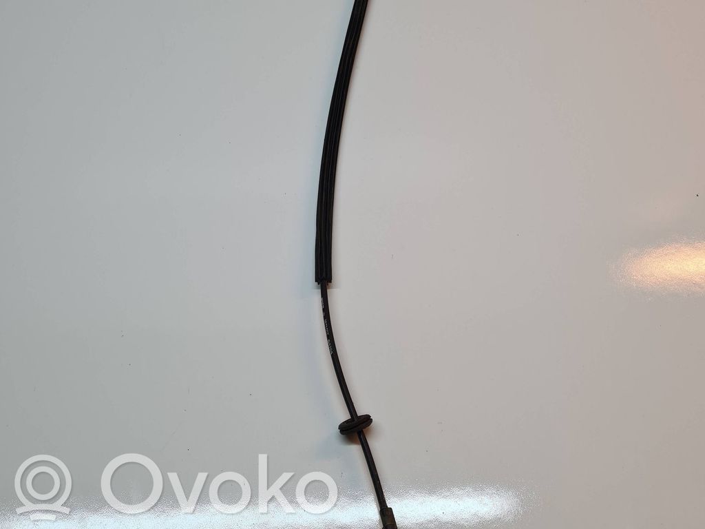 Trosīte   31104591