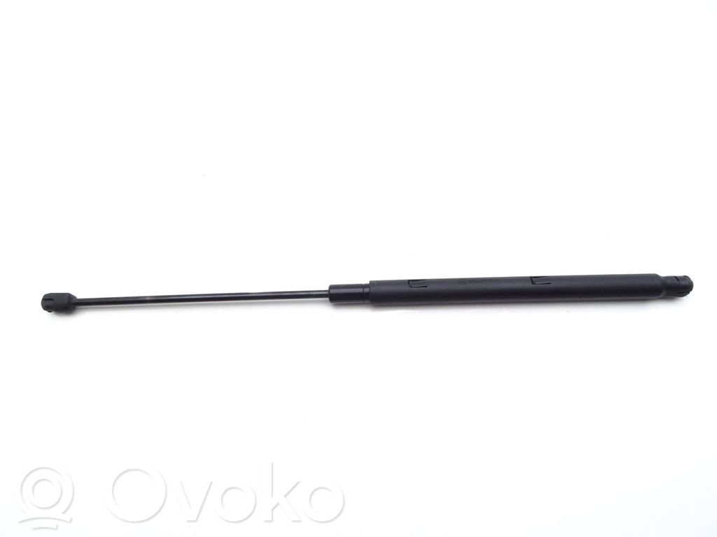 Mercedes-Benz CLC CL203 Engine bonnet/hood hinges 