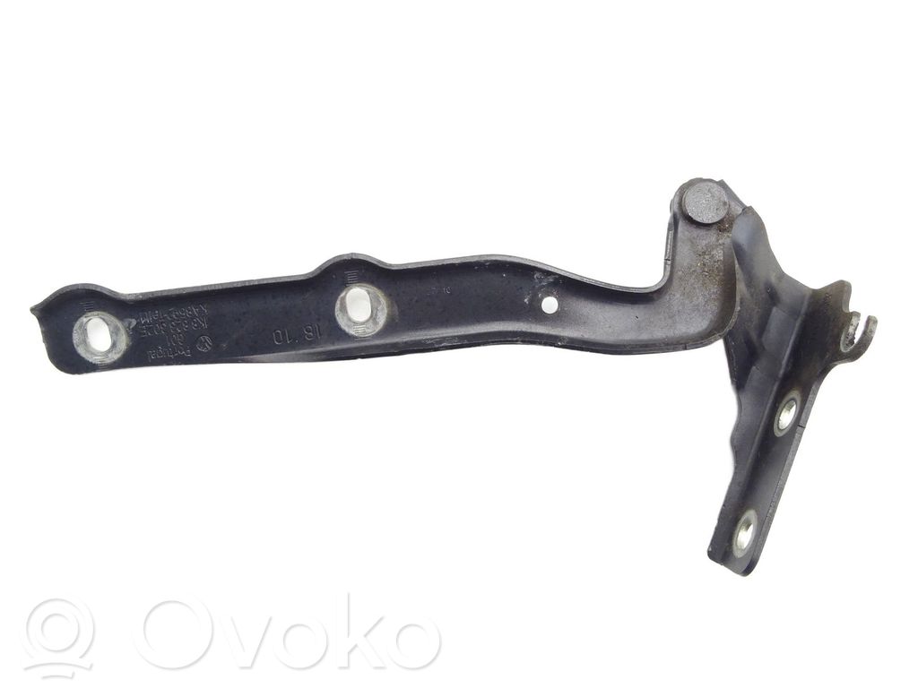 Volkswagen Scirocco Engine bonnet/hood hinges 