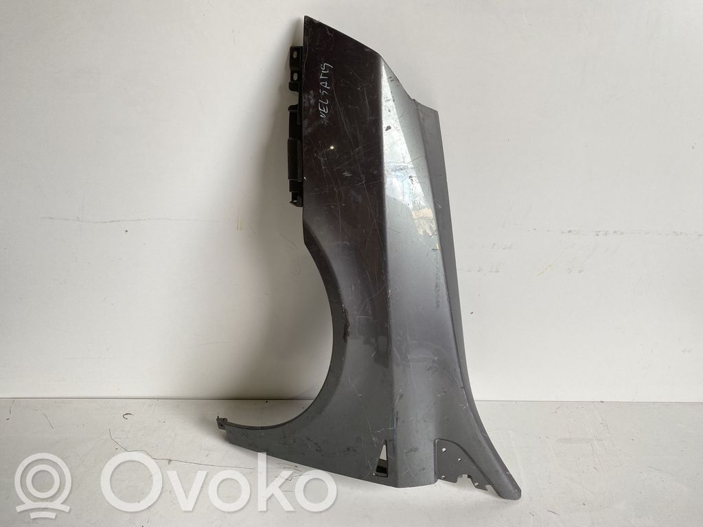Renault Vel Satis Sparnas 