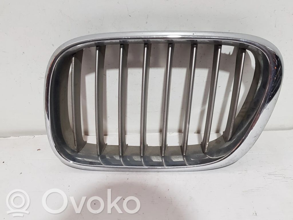 Front grill   51138247673