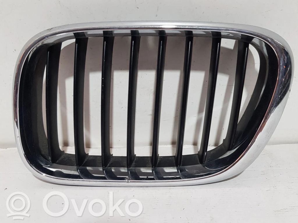Front grill   51138247673